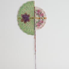 Sóley Ragnarsdóttir