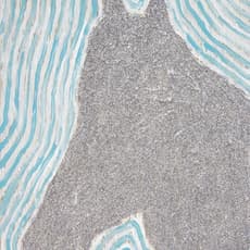 Tad Lauritzen Wright