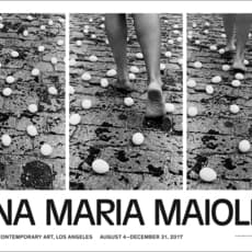 Anna Maria Maiolino, Anna Maria Maiolino Exhibition Poster (2017)