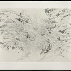 Julie Mehretu
