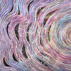 Pauline Napangardi Gallagher