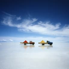Scarlett Hooft Graafland