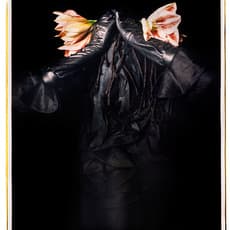 Maria Magdalena Campos-Pons