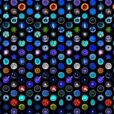 Andreea Raluca Hartea