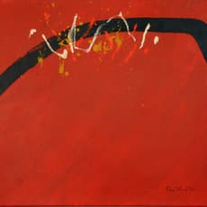 Ray Mead