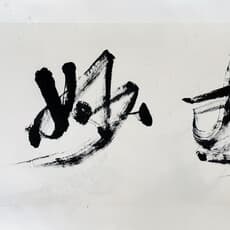 Liu Zhengcheng