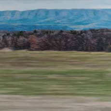 Jennifer Krause Chapeau