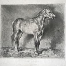 Achille-Isidore Gilbert after Rosa Bonheur (French, Bordeaux 1822–1899 Thomery)