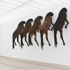 Maurizio Cattelan
