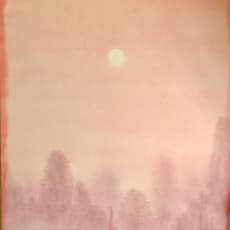 Nicholas Woods