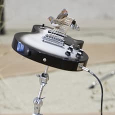 Céleste Boursier-Mougenot