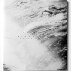 Anne Pesce