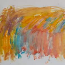 Miquel Angel Benejam