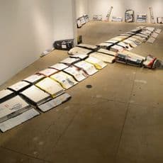 Sean Cordeiro & Claire Healy