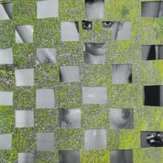 Siobhan Liddell