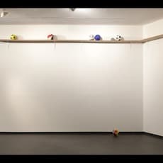 Fermín Jiménez Landa