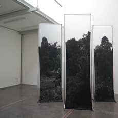Chong Weixin