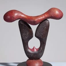 Wu Shaoxiang 吴少湘