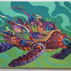 Farid Rueda