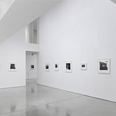 Diane Arbus