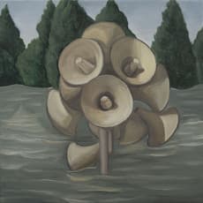 CAO Zaifei 曹再飞