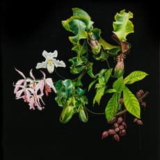 Mark Fairnington