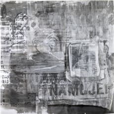 Angela Wilson Searie