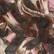 Englebert Van Anderlecht