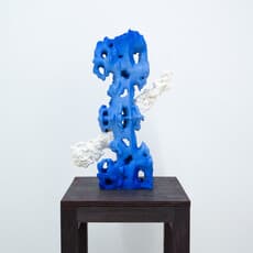 Danyang Song