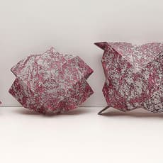 Cynthia Kampelmacher