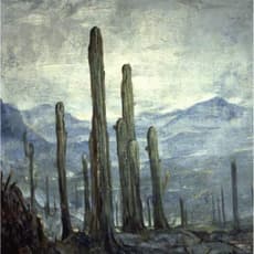 Roberto Nervo Montenegro