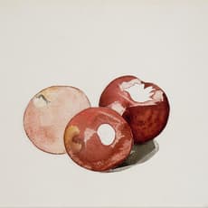 Charles Demuth