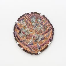 Tom Hardwick - Allan