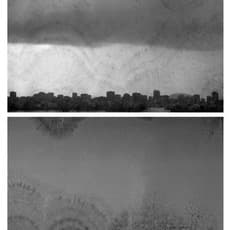 Pedro Victor Brandão