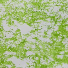 Bi Rongrong 毕蓉蓉