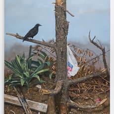 Scott Marvel Cassidy