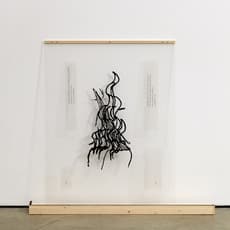 Sung Hwan Kim