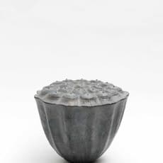 Morio Nishimura 西村 盛雄