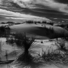 Brett Weston