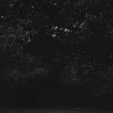 Awoiska van der Molen