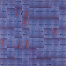 Marta Chilindron & Eduardo Costa