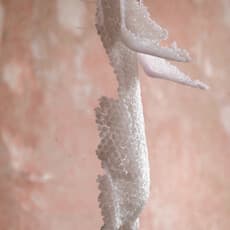 Anastasia Shneps-Shneppe