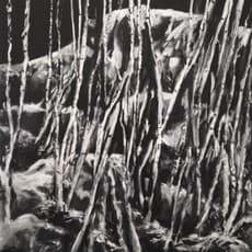 Peter Heywood
