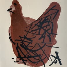 Tom White (New Zealand)