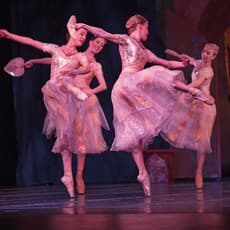 Marco Sitran, Bayadére (2015) by Baya