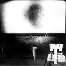Peter Weibel