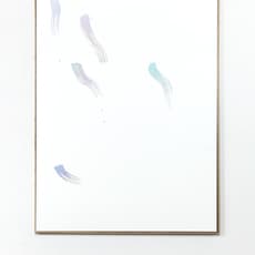 Peter Mohall
