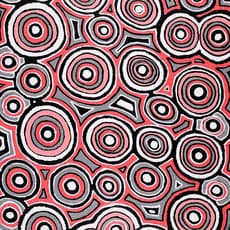 Sarah White NAPURRURLA