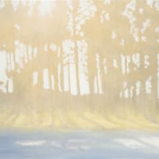 MORITZ HASSE