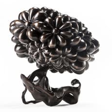Marcel Wanders
